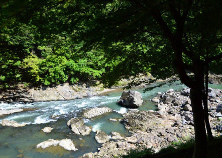 ▲호즈가와에서 가장 큰 바위라 하는 통반석 ‘마고로쿠이와’. 그 밖에도 ‘라이온 바위’, ‘개구리 바위’등 다양한 기암이 있다.