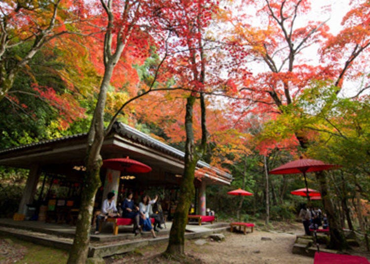 ▲You can enjoy a light meal or tea at the Momiji Tea House