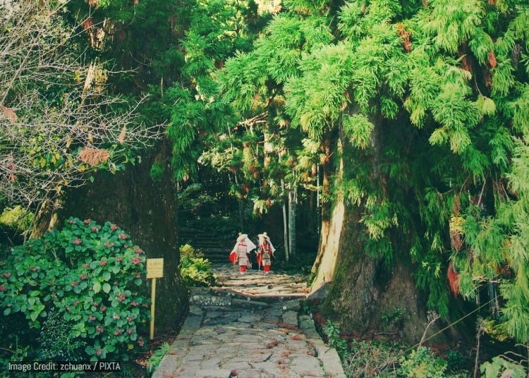 Kumano Sanzan: Explore Wakayama's 3 Sacred Shrines in the Land of the Gods