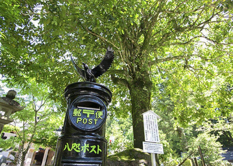 ▲The black Yatagarasu [a mythical raven who aided Emperor Jimmu on his eastern expedition] post box and postcard tree