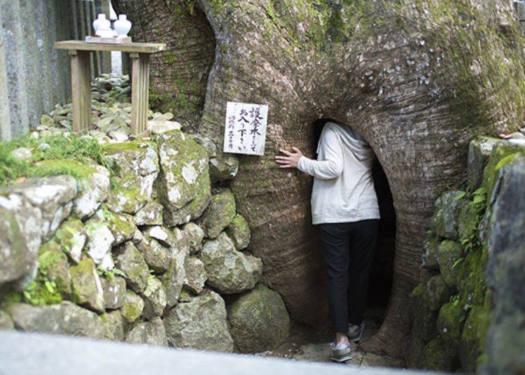 ▲ You can look inside for an offering of 300 yen.