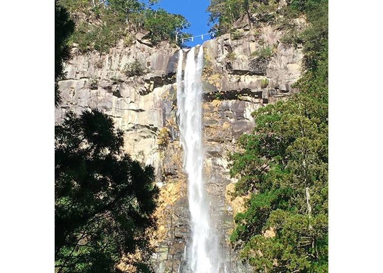 Powerful Nachi Falls