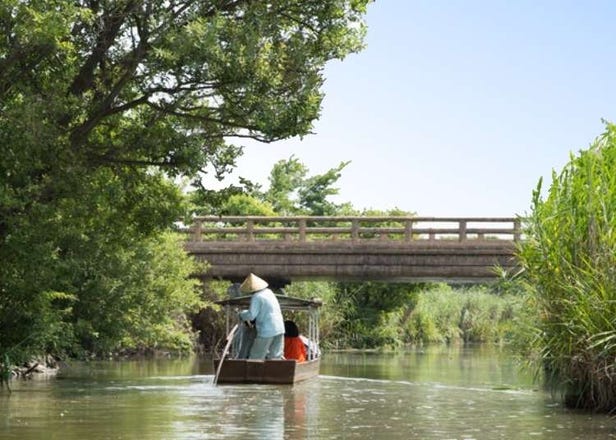 Hachiman-bori (Omihachiman): Live the Anime Dream on a Merchant Town Boat Ride In The Scenic Old Quarter