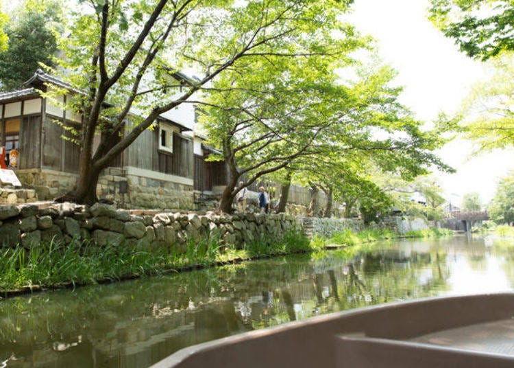 ▲No time to take the walk? You can still enjoy the atmosphere of Hachiman-bori from inside the boat!