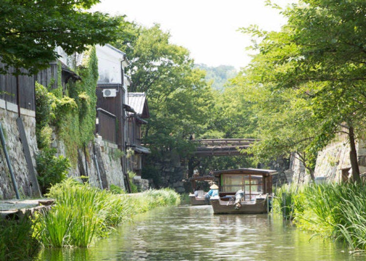 就在京都隔壁！滋賀縣悠閒自在的近江八幡觀光遊船之旅