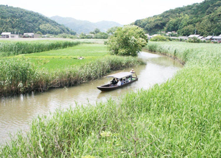 ▲琵琶湖八景中的著名水鄉之一。（照片提供：水鄉Nosato Maruyama）