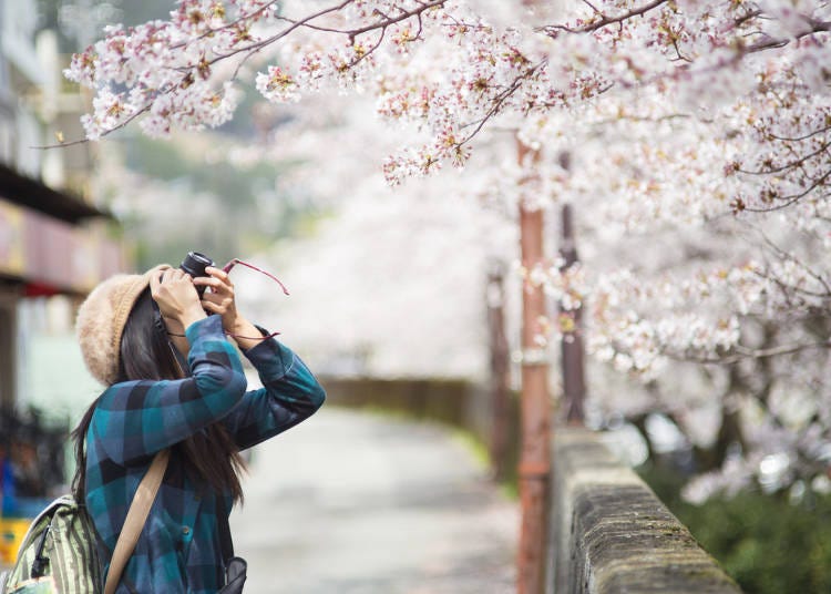 What to Wear in Osaka in Spring: Clothes, Outfits and Accessories