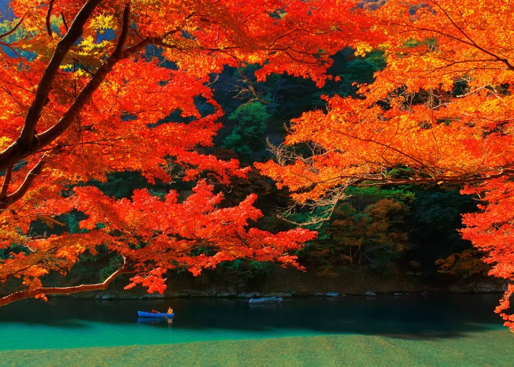 関西エリアの秋（9～11月）の気温・天気