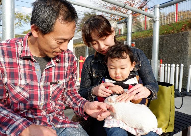 家族連れ必見！「ふれあい広場」へ