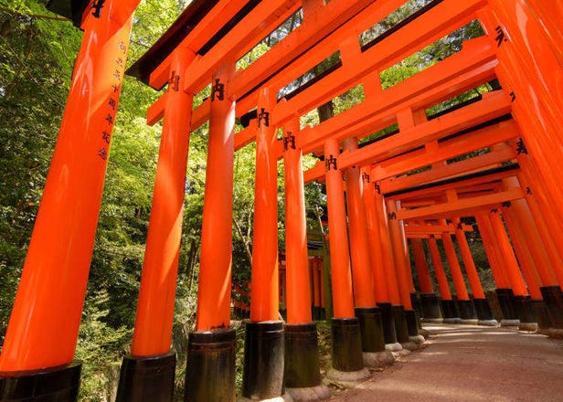 京都自由行簡單上手！知名觀光景點、美食特色懶人包