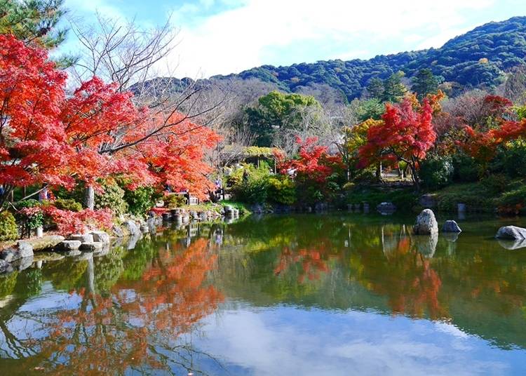 (c)京都市メディア支援センター