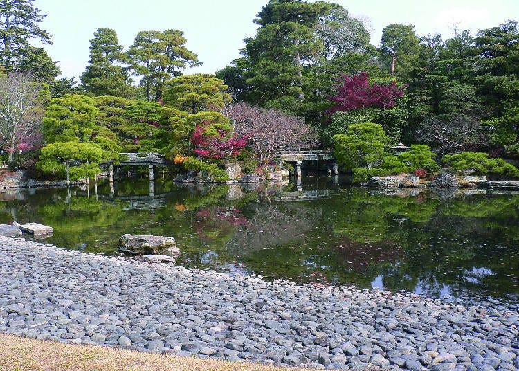 見どころ４：四季折々の表情が楽しめる「御池庭」