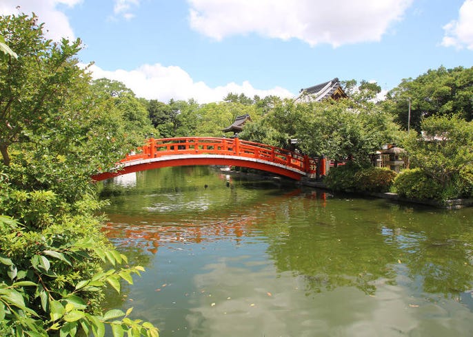 京都 二条城と一緒に訪れたい人気観光スポット5選 Live Japan 日本の旅行 観光 体験ガイド