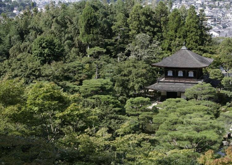 A view of the temple grounds from the observation deck (C) Jisho-ji