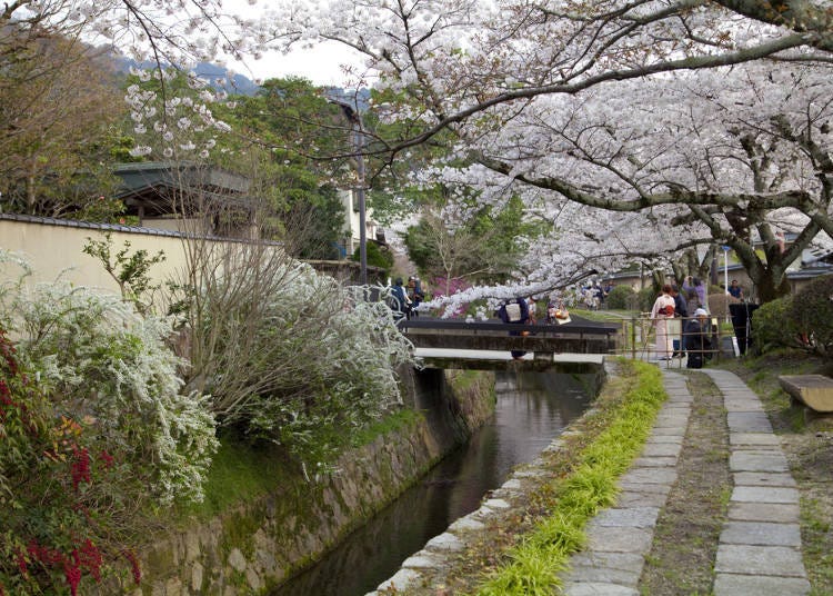 Nearby Places to Stop By When You Visit Ginkakuji Temple