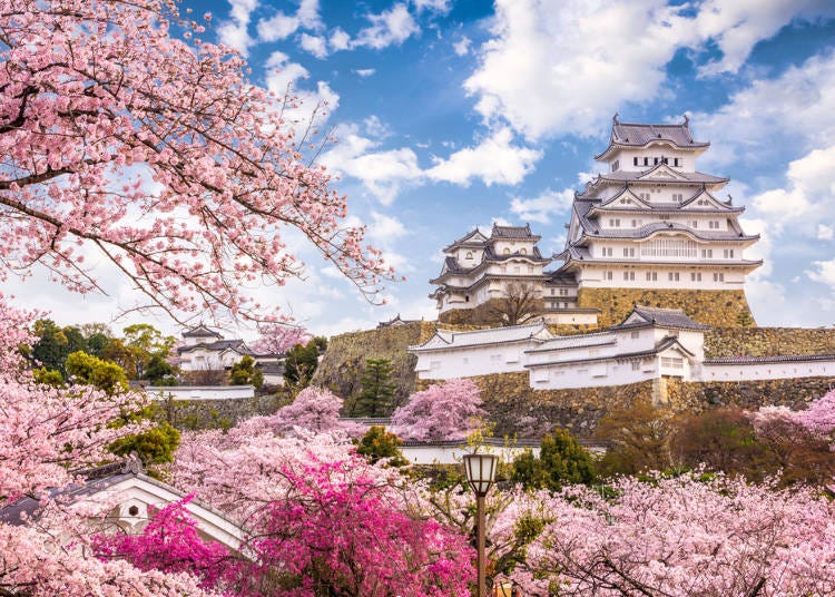姫路城は桜の季節が観光のベストシーズン