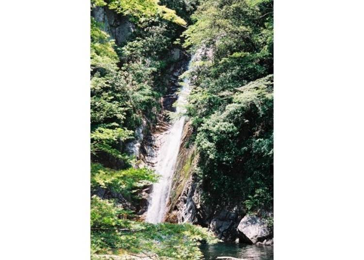 4. Nunobiki Falls: Oasis Near Shin-Kobe Station