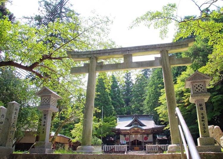 1. Tosen Shrine: The Guardian Deity of Arima Onsen