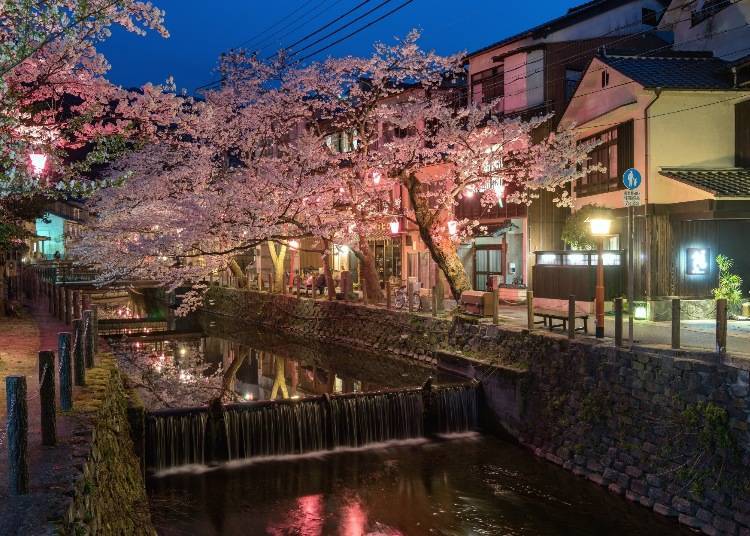(Photo: Toyooka City)