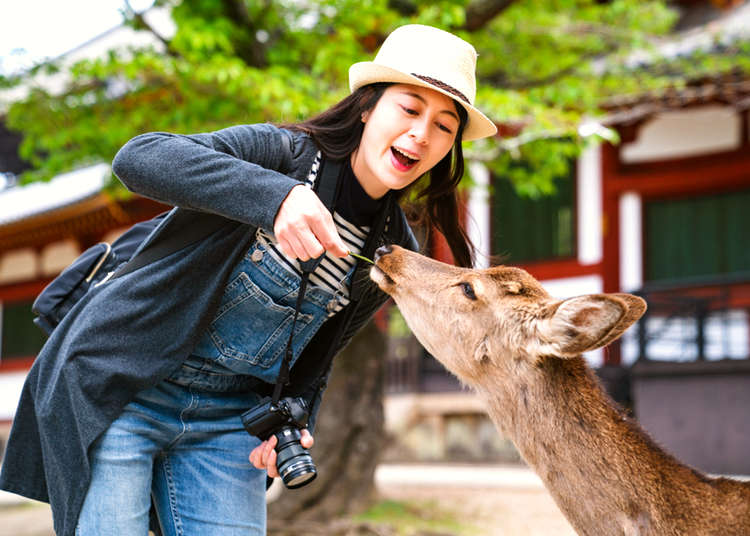 First Time in Nara: Where To Go And What To Do in Japan's Famous City