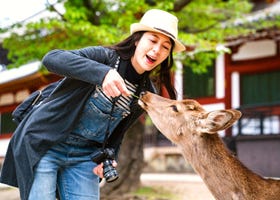 First Time in Nara: Where To Go And What To Do in Japan's Famous City