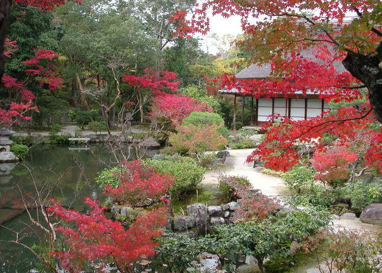 2. Isuien Garden: Appreciate the autumn foliage and views in two Nara gardens