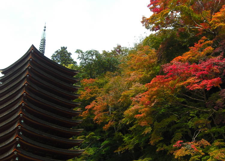 奈良有数の紅葉の名所「談山神社」