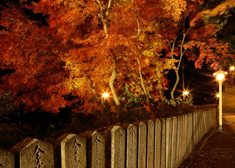 サクラの名所「吉野山」は、秋に紅葉の名所に