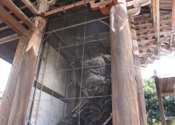 奈良東大寺大佛的魅力 這樣做讓你保平安啦 Live Japan 日本旅遊 文化體驗導覽