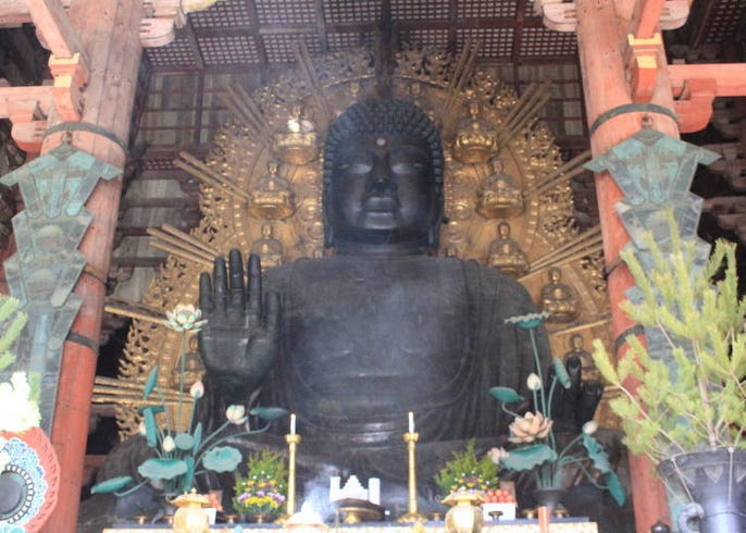 奈良東大寺大佛的魅力 這樣做讓你保平安啦 Live Japan 日本旅遊 文化體驗導覽