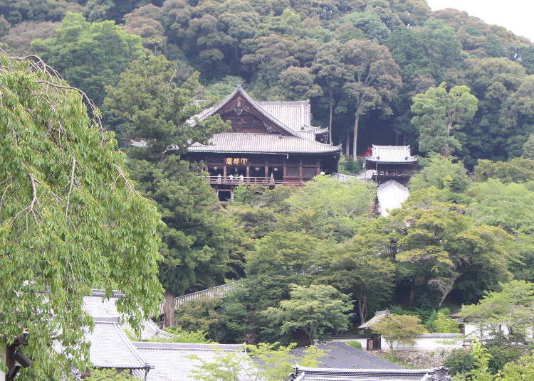 4. Hasedera: The sacred field of Kannon with beautiful peonies
