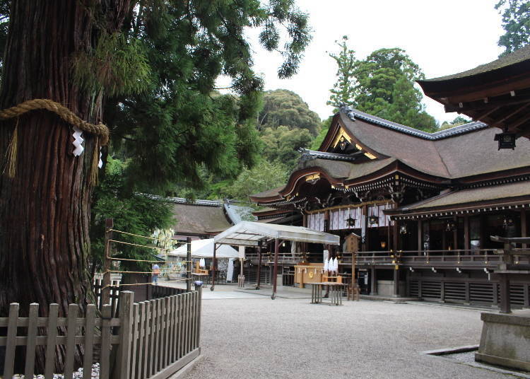 以山为神体、传说为日本最古老神社「大神神社」