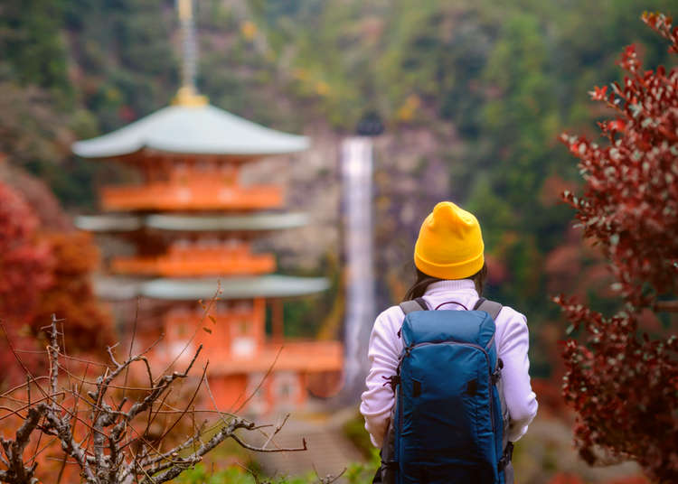 2023和歌山景點必玩35選！高野山、宿坊體驗、熊野古道、白濱等和歌山自由行觀光懶人包