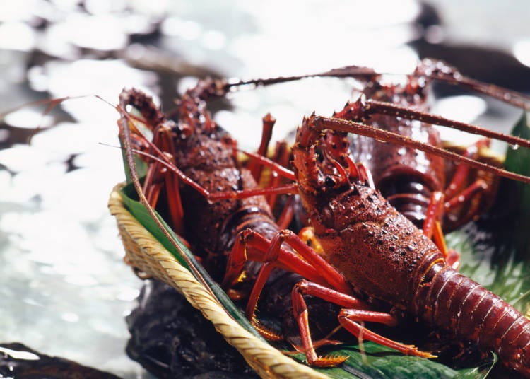 4. Enjoy Ise Shrimp and Other Bountiful Seafood