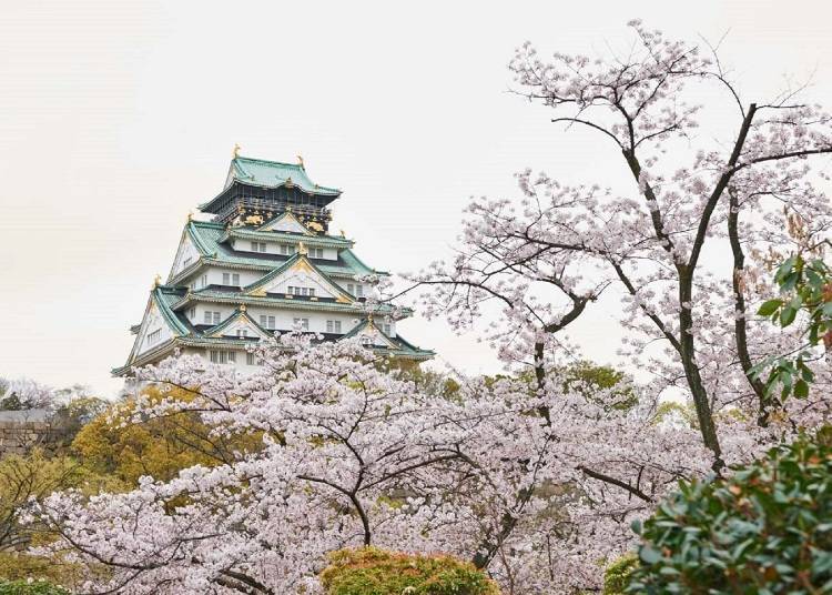 3. 古城和櫻花交織出美景「大阪城公園」