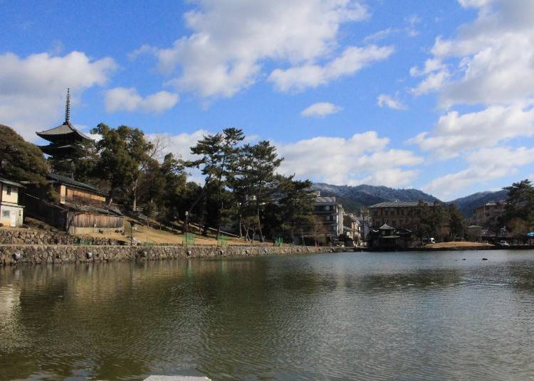 隔著猿澤池的「興福寺五重塔」景色是必拍的紀念照