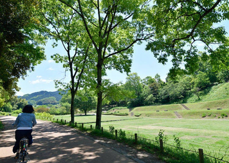 ▲This area is the Takamatsuzuka Area of the Asuka National History Park. Enjoy your bike ride as you enjoy the green landscape on both sides!