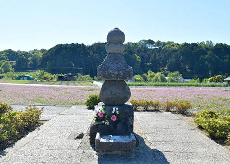 ▲Iruka no Kubidzuka. You can get a view overlooking Asuka Village from Amakashi no Oka Observatory located on the other side.