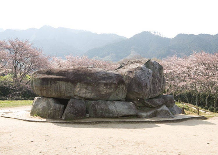 ▲봄이 되면 이시부타이 고분의 주위는 벚꽃의 핑크빛으로 물든다. (사진 제공 : 아스카 마을 교육 위원회)