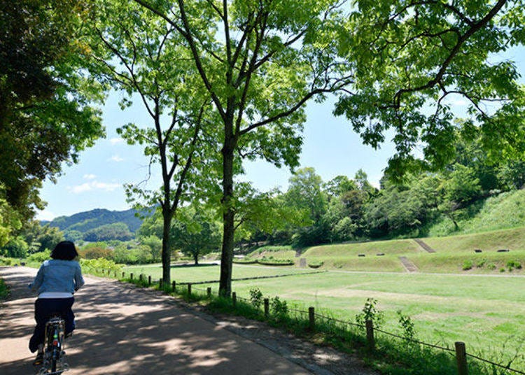▲這附近為「國營飛鳥歷史公園」的「高松塚周邊地區」。享受騎車時光的同時，可欣賞側面的草地廣場喔。