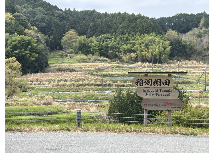 ▲小編到訪時為春天的新綠、在其他季節還能看到灌溉風景,順著這條路下坡,沿路都是梯田的田園景色,不過這裡是道路,如果想停下拍照記得注意來車&安全喔!