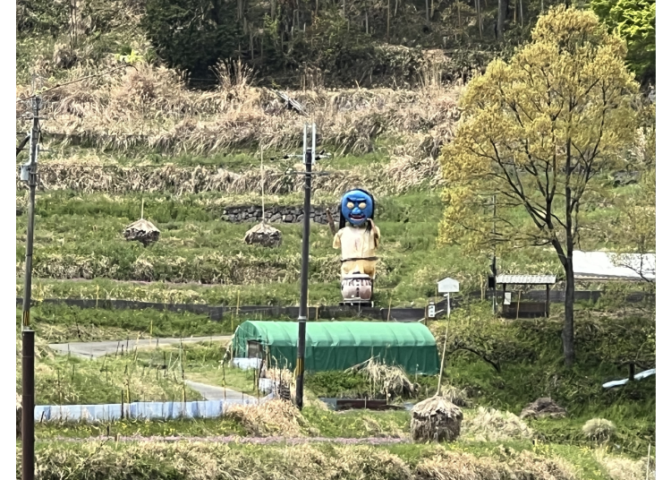 ▲往梯田內仔細看,還可以發現案山子(稻草人),模樣十分獨特
