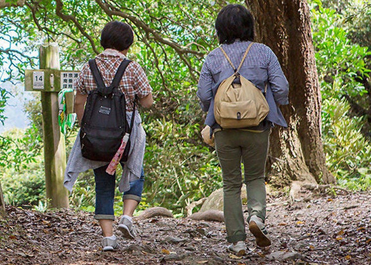 With a map in one hand, we head off on our hike