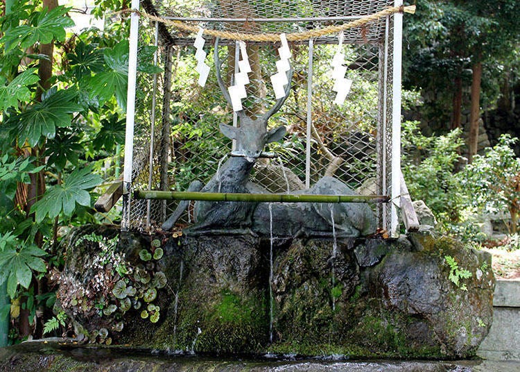 Bronze deer god basin. The worshipers cleanse their hands and mouth here. The sound of water constantly trickling from the basin is very relaxing!