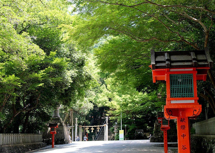 穿越鳥居便正式進入神社之境。可感受清澈的水流聲以及綠意茂然的參拜道