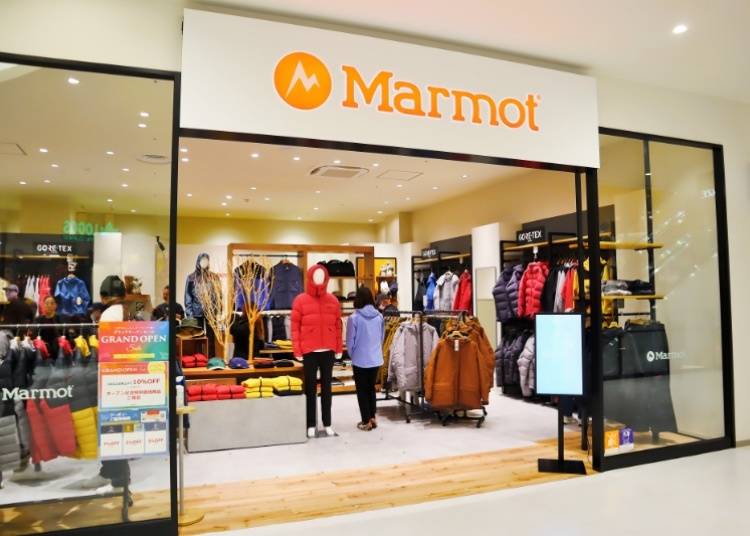 Marmot