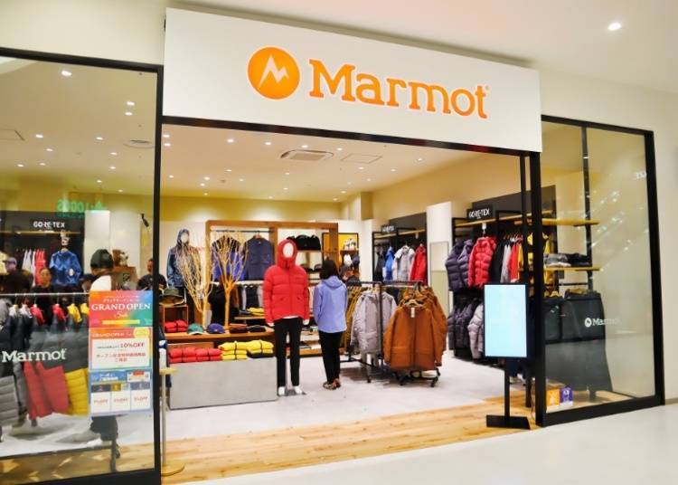 Marmot