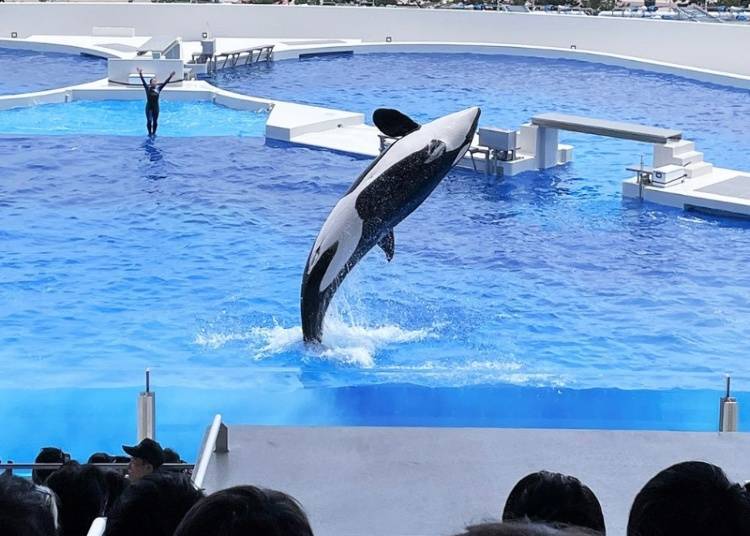 神戶須磨Sea World