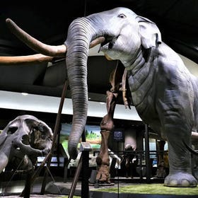 Lake Biwa Museum Admission Ticket
Photo: Klook