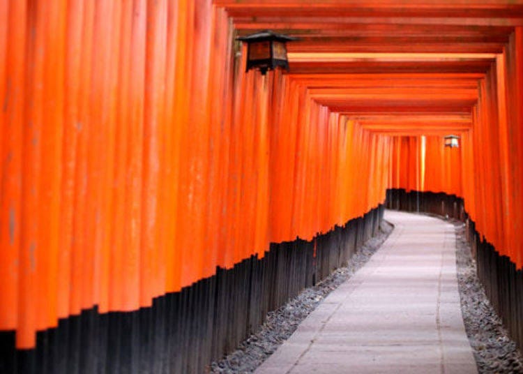 ▲ The flavor of warabi-mochi together with the unique atmosphere of Kyoto is exceptional (photo shows the Senbon Torii at Fushimi Inari Shrine)